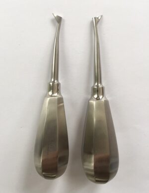 BEIN root elevator - WINTER short handle, right